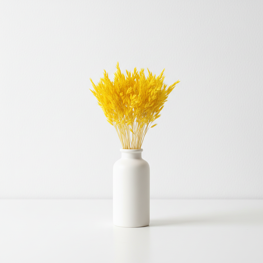 Sušená Avena (Oves) žlutá - přírodní dekorační tráva pro aranžmá